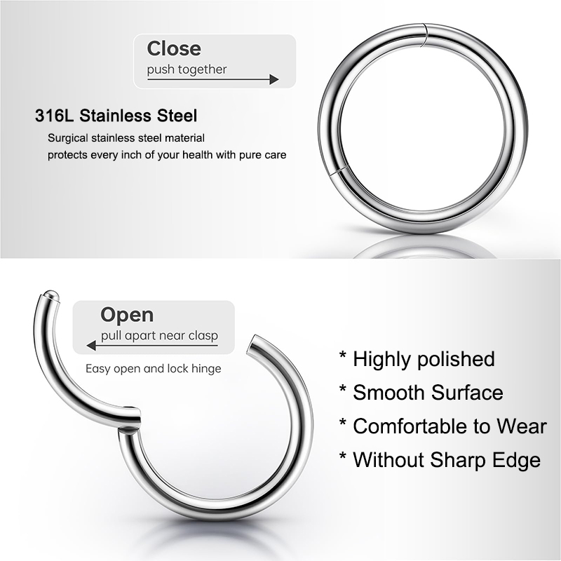 16G 316L Surgical Steel Hinged - Body Jewelry Earrings recension och pris
