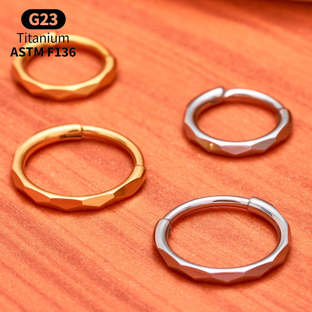 G23 Titanium Faceted CZ Hinged - Septum Clicker Ring recension och pris