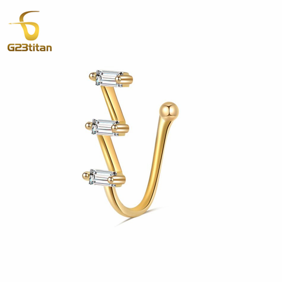 1pc Fake Nose Piercing Ring Wo - Body Jewelry Earrings recension och pris