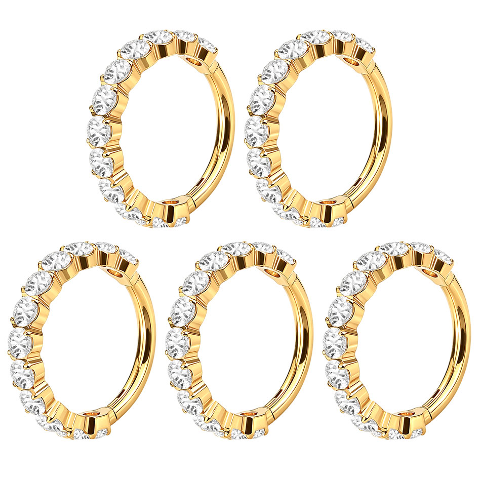 1PC Titanium Hinged Segment No - Septum Clicker Ring recension och pris
