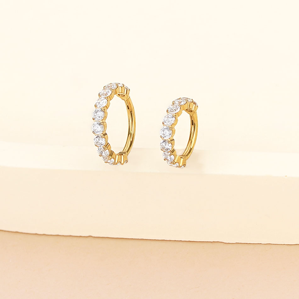 1PC Titanium Hinged Segment No - Septum Clicker Ring recension och pris