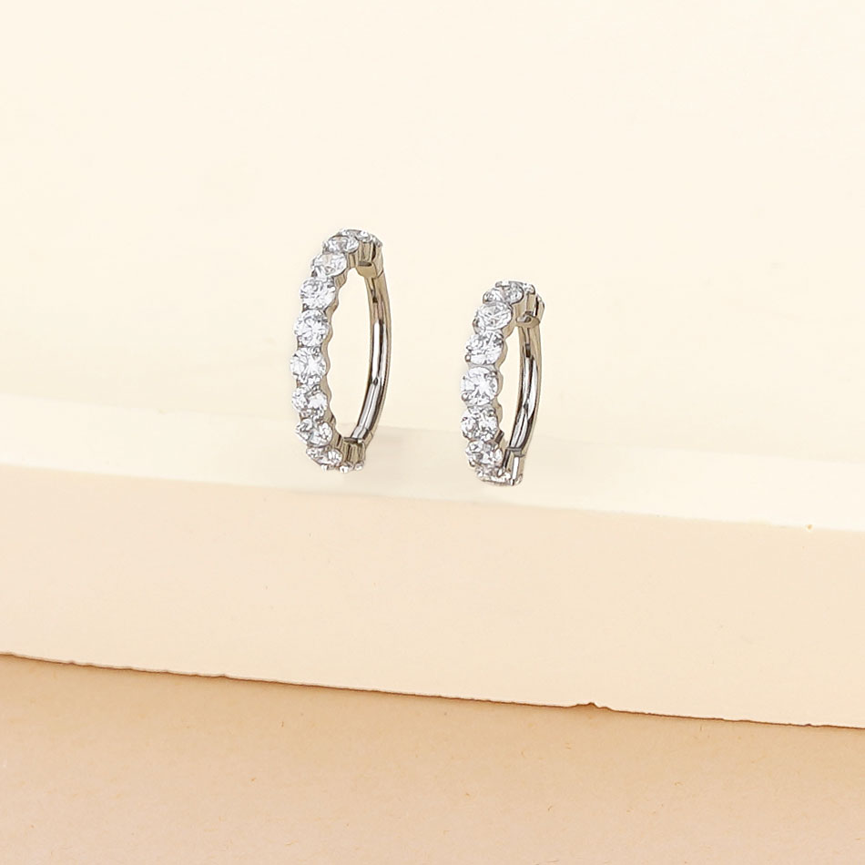 1PC Titanium Hinged Segment No - Septum Clicker Ring recension och pris
