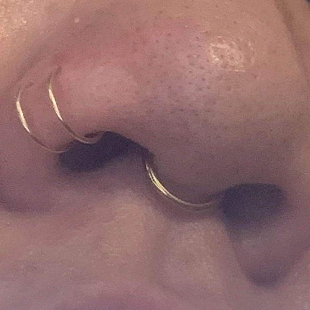 Fake Nose Rings Fake Septum Fo - Body Jewelry Nose recension och pris