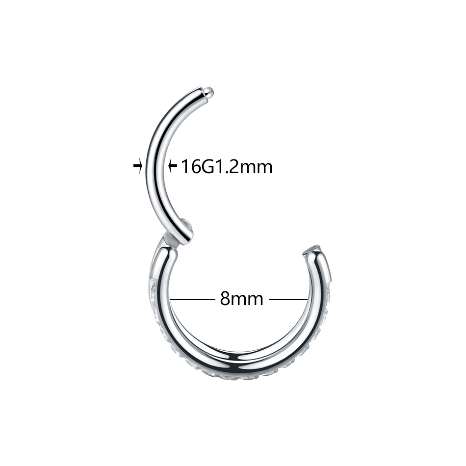 1pc Titanium Cartilage Hoop Ea - Septum Clicker Ring recension och pris
