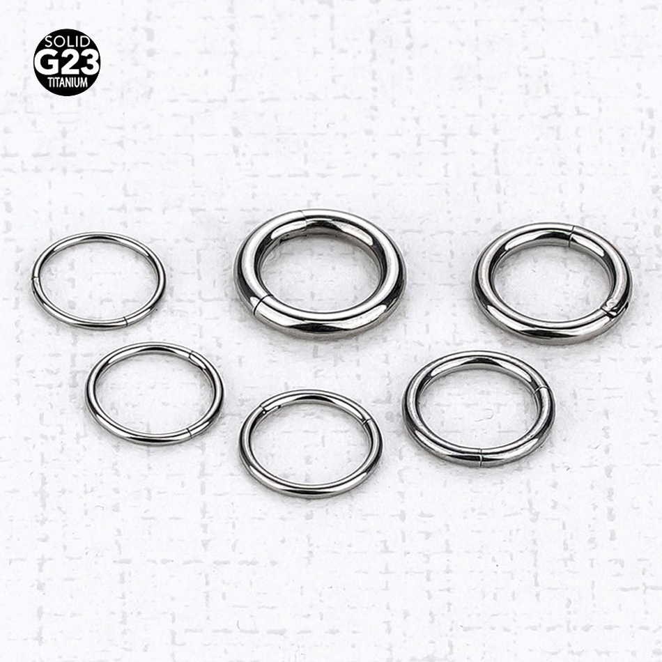 1PC G23 Titanium Hinged Segmen - Septum Clicker Ring recension och pris